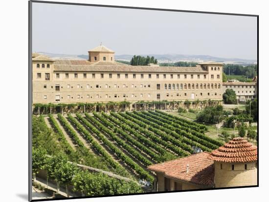 Vineyard and Monastery, Olite, Navarra, Euskadi, Spain-Christian Kober-Mounted Photographic Print