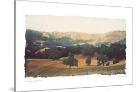 Vineyard and Oak II-Amy Melious-Stretched Canvas