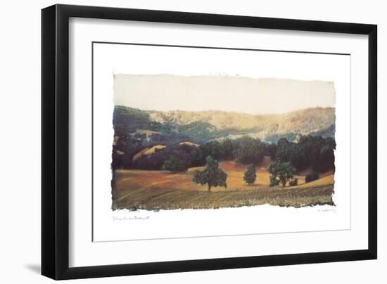 Vineyard and Oak II-Amy Melious-Framed Art Print