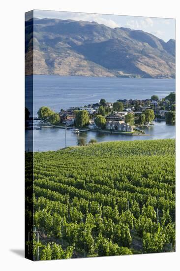Vineyard and Okanagan Lake at Quails' Gate Winery, Kelowna, Bc, Canada-Michael DeFreitas-Stretched Canvas