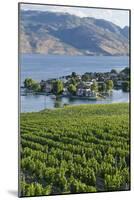 Vineyard and Okanagan Lake at Quails' Gate Winery, Kelowna, Bc, Canada-Michael DeFreitas-Mounted Photographic Print