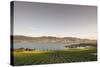 Vineyard and Okanagan Lake at Quails' Gate Winery, Kelowna, Bc, Canada-Michael DeFreitas-Stretched Canvas