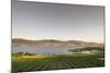 Vineyard and Okanagan Lake at Quails' Gate Winery, Kelowna, Bc, Canada-Michael DeFreitas-Mounted Photographic Print