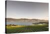 Vineyard and Okanagan Lake at Quails' Gate Winery, Kelowna, Bc, Canada-Michael DeFreitas-Stretched Canvas