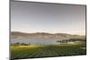 Vineyard and Okanagan Lake at Quails' Gate Winery, Kelowna, Bc, Canada-Michael DeFreitas-Mounted Photographic Print
