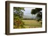 Vineyard and Olive Grove on Rolling Hillside, Tuscany, Italy-Terry Eggers-Framed Photographic Print