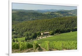 Vineyard and Olive Grove, Pian D'Albola, Radda in Chianti, Siena Province, Tuscany, Italy, Europe-Peter Richardson-Framed Photographic Print