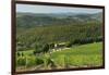 Vineyard and Olive Grove, Pian D'Albola, Radda in Chianti, Siena Province, Tuscany, Italy, Europe-Peter Richardson-Framed Photographic Print