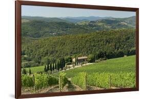 Vineyard and Olive Grove, Pian D'Albola, Radda in Chianti, Siena Province, Tuscany, Italy, Europe-Peter Richardson-Framed Photographic Print