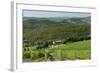 Vineyard and Olive Grove, Pian D'Albola, Radda in Chianti, Siena Province, Tuscany, Italy, Europe-Peter Richardson-Framed Photographic Print