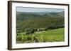 Vineyard and Olive Grove, Pian D'Albola, Radda in Chianti, Siena Province, Tuscany, Italy, Europe-Peter Richardson-Framed Photographic Print