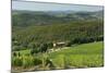 Vineyard and Olive Grove, Pian D'Albola, Radda in Chianti, Siena Province, Tuscany, Italy, Europe-Peter Richardson-Mounted Photographic Print