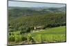 Vineyard and Olive Grove, Pian D'Albola, Radda in Chianti, Siena Province, Tuscany, Italy, Europe-Peter Richardson-Mounted Premium Photographic Print