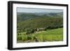 Vineyard and Olive Grove, Pian D'Albola, Radda in Chianti, Siena Province, Tuscany, Italy, Europe-Peter Richardson-Framed Photographic Print