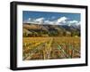 Vineyard and Pisa Range, Cromwell, Central Otago, South Island, New Zealand-David Wall-Framed Photographic Print