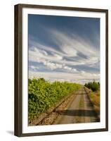 Vineyard and Road, Walla Walla, Washington, USA-Richard Duval-Framed Premium Photographic Print