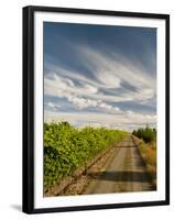 Vineyard and Road, Walla Walla, Washington, USA-Richard Duval-Framed Premium Photographic Print