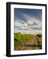 Vineyard and Road, Walla Walla, Washington, USA-Richard Duval-Framed Photographic Print