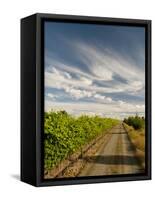 Vineyard and Road, Walla Walla, Washington, USA-Richard Duval-Framed Stretched Canvas