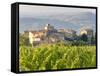 Vineyard and Village, Volpaia, Tuscany, Italy-Peter Adams-Framed Stretched Canvas