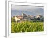 Vineyard and Village, Volpaia, Tuscany, Italy-Peter Adams-Framed Photographic Print