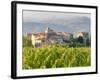 Vineyard and Village, Volpaia, Tuscany, Italy-Peter Adams-Framed Photographic Print