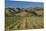 Vineyard and Wither Hills, Near Blenheim, Marlborough, South Island, New Zealand-David Wall-Mounted Premium Photographic Print