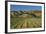 Vineyard and Wither Hills, Near Blenheim, Marlborough, South Island, New Zealand-David Wall-Framed Photographic Print