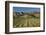 Vineyard and Wither Hills, Near Blenheim, Marlborough, South Island, New Zealand-David Wall-Framed Photographic Print