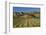 Vineyard and Wither Hills, Near Blenheim, Marlborough, South Island, New Zealand-David Wall-Framed Photographic Print