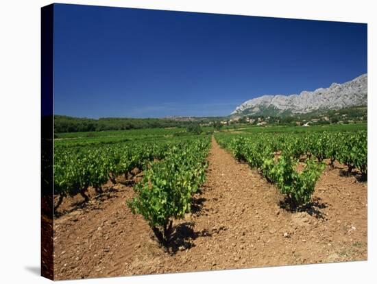 Vineyard at Foot of Mont Ste.-Victoire, Near Aix-En-Provence, Bouches-Du-Rhone, Provence, France-Tomlinson Ruth-Stretched Canvas