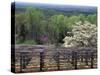 Vineyard at Monticello, Thomas Jefferson's Home in Charlottesville, Virginia-null-Stretched Canvas