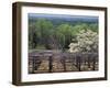 Vineyard at Monticello, Thomas Jefferson's Home in Charlottesville, Virginia-null-Framed Photographic Print