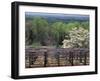 Vineyard at Monticello, Thomas Jefferson's Home in Charlottesville, Virginia-null-Framed Photographic Print