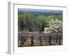 Vineyard at Monticello, Thomas Jefferson's Home in Charlottesville, Virginia-null-Framed Photographic Print