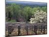 Vineyard at Monticello, Thomas Jefferson's Home in Charlottesville, Virginia-null-Mounted Photographic Print