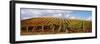 Vineyard at Napa Valley, California, USA-null-Framed Photographic Print