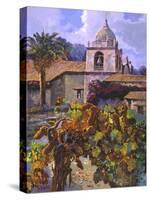 Vineyard at San Miguel-Clif Hadfield-Stretched Canvas