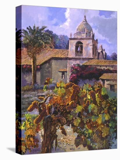 Vineyard at San Miguel-Clif Hadfield-Stretched Canvas