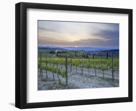 Vineyard at Sunset Above the Village of Torrenieri, Near San Quirico D'Orcia, Tuscany-Lee Frost-Framed Photographic Print