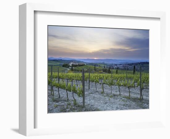 Vineyard at Sunset Above the Village of Torrenieri, Near San Quirico D'Orcia, Tuscany-Lee Frost-Framed Photographic Print