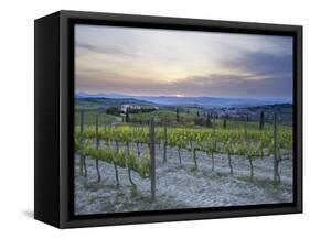 Vineyard at Sunset Above the Village of Torrenieri, Near San Quirico D'Orcia, Tuscany-Lee Frost-Framed Stretched Canvas