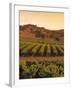 Vineyard, Barossa Valley, South Australia, Australia-Doug Pearson-Framed Photographic Print