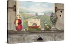 Vineyard Chateau View-Arnie Fisk-Stretched Canvas