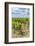 Vineyard, Chateauneuf du Pape, France-Jim Engelbrecht-Framed Photographic Print