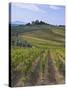 Vineyard, Chianti, Italy-Rob Tilley-Stretched Canvas