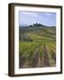 Vineyard, Chianti, Italy-Rob Tilley-Framed Photographic Print