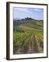 Vineyard, Chianti, Italy-Rob Tilley-Framed Photographic Print