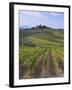 Vineyard, Chianti, Italy-Rob Tilley-Framed Photographic Print