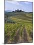 Vineyard, Chianti, Italy-Rob Tilley-Mounted Photographic Print